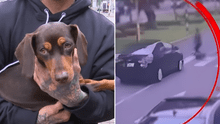 Encuentran a perrita 'Rumi', que desapareció tras atropello junto a su cuidadora en Miraflores Encuentran a perrita 'Rumi', que desapareció tras atropello junto a su cuidadora en Miraflores