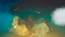 Científicos arrojaron una vaca a 1.600 metros de profundidad en el Mar de China y en la oscuridad aparecieron unos visitantes gigantescos