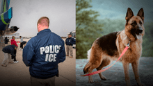 ICE obliga a familia de inmigrantes en Los Ángeles a autodeportarse de EEUU: tuvieron que dejar su perro en refugio