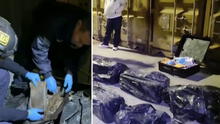 Incautan droga de alta pureza valorizada en más de 15 millones de dólares: iba de Piura a Europa
