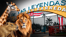 Parque de las Leyendas ofrece entradas gratis por Fiestas Patrias este 28 y 29 de julio: ¿para quiénes?