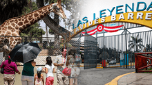 Fiestas Patrias en el Parque de las Leyendas: conciertos, talleres y shows gratis este 28 y 29 de julio