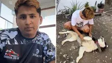 Streamer Shuls fue intervenido tras reclamo de antiguos dueños de un perro rescatado en Ate: “Por 24 horas”