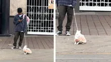 Joven peruano enternece al pasear a su linda conejita con vestido por Miraflores y en redes se emocionan: "Son las mejores mascotas" Joven peruano enternece al pasear a su linda conejita con vestido por Miraflores y en redes se emocionan: "Son las mejores mascotas"