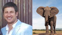 Muere millonario dueño de safari tras ser atacado y pisoteado por un elefante en Sudáfrica