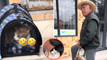 La reacción viral de dos gatos al ser llevados al veterinario de forma diferente: "Odio ser pobre", reaccionó un usuario