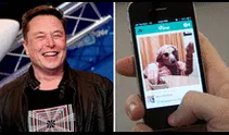 Elon Musk quiere revivir Vine, el antecesor de TikTok: "Lo traeremos de vuelta, pero en forma de IA"
