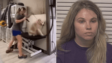 Mujer es captada golpeando a varios perritos en una veterinaria y ahora enfrenta cargos por crueldad animal en EE.UU.