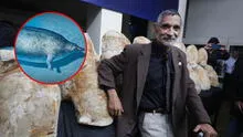 Paleontólogo peruano Mario Urbina halla 5 especies fósiles marinas inéditas en el desierto de Nasca: "No hay precedentes en el mundo"