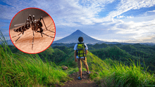Minsa recomienda medidas clave contra el dengue para quienes viajen por Fiestas Patrias