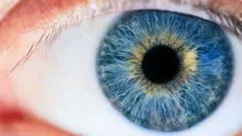 Descubren nuevo color que no se puede percibir de manera natural por el ojo humano: solo 5 personas lo han visto