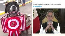 Los memes más divertidos sobre Dina Boluarte en la Parada Militar 2025 que te sacarán risas