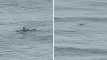 Video capta a surfista en busca de olas del tsunami en Hawái en pleno estado de emergencia en EEUU