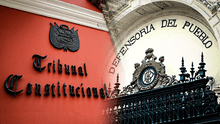 Golpe en la lucha contra la corrupción: Tribunal Constitucional elimina la extinción de dominio antes del 2018