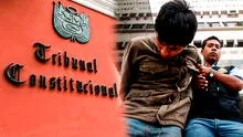 Tribunal Constitucional admite a trámite demanda contra ley que penaliza a menores de 16 y 17 años