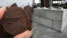 Científicos descubren que los residuos del café molido pueden mejorar la dureza del cemento de construcción