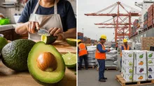 Perú conquista mercados internacionales gracias al 'oro verde' en 2025: exportaciones llegan a EE. UU. y Europa