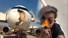 Avión aterriza de emergencia tras impactar con un ave de gran tamaño durante vuelo entre España y Francia