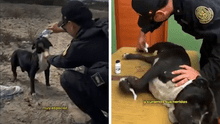 De la calle al uniforme: perrito abandonado ahora es policía en Laredo