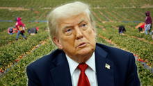 Trump implementará nueva política a favor de trabajadores inmigrantes indocumentados en EEUU para legalizarlos