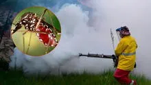 China enfrenta su mayor brote de chikunguña: más de 7.000 contagios en Foshan que combaten con drones, multas y control biológico