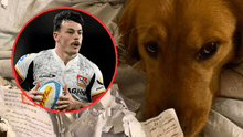 Deportista casi pierde la oportunidad de viajar y participar en un campeonato por su mascota: “El perro se comió mi pasaporte” Deportista casi pierde la oportunidad de viajar y participar en un campeonato por su mascota: “El perro se comió mi pasaporte”