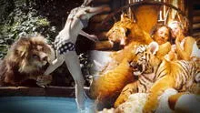 El peligroso rodaje de 'Roar', el filme que usó más de 100 leones y arriesgó la vida de su elenco El peligroso rodaje de 'Roar', el filme que usó más de 100 leones y arriesgó la vida de su elenco
