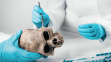 El mentón, la parte del cuerpo humano que la evolución no explica y cuya función sigue siendo un misterio para la ciencia