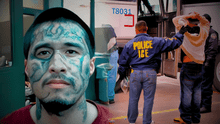 ICE arrestó en Houston a 356 inmigrantes en los primeros 6 meses de Trump: extranjeros tendrían graves antecedentes criminales