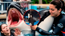 ¿Es real la historia de Jessica Radcliffe? La verdad detrás del video viral de su supuesta muerte tras ataque de una orca