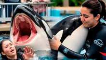 ¿Es real la historia de Jessica Radcliffe? La verdad detrás del video viral de su supuesta muerte tras ataque de una orca