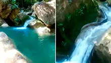 Turista intenta ingresar al río en Tingo María, pero queda en shock al encontrar una enorme serpiente tomando el sol