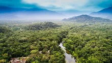 Reivindiquemos la Amazonía, por Rafael Belaúnde Llosa