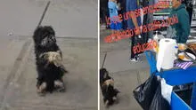 Perrito conmueve al ‘suplicar’ por un poquito de comida a ambulante: "Una bañadita y me lo llevo"