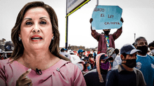 Ley Chlimper 2.0: organizaciones sociales rechazan su aprobación y exigen al gobierno que no la promulgue