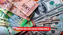 Dólar BCV y paralelo hoy 19 de agosto 2025: conoce el tipo de cambio oficial del Banco Central de Venezuela