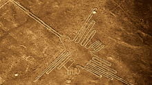 La fascinación de los nazca por representar animales no solo se aprecia en sus famosas líneas
