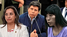 Pedro Castillo: "Responsabilizo al régimen de la usurpadora Dina Boluarte por la vida e integridad de Betssy Chavez"