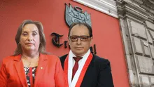 Magistrado del TC sobre fallo a favor de Dina Boluarte: "Allanar la casa de un presidente es un acto agresivo"