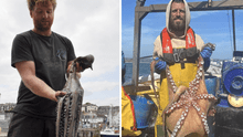 Aumento de pulpos provoca problemas a la pesca en Reino Unido: "Es una plaga"