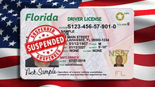 Driver's License in Florida: FLHSMV Will Suspend the Document to These Drivers in the US