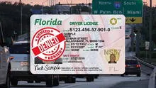 Reasons Why FLHSMV Suspends Driver’s Licenses in Florida in 2025