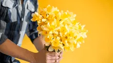 Why do people give Yellow Flowers on March 21? Understanding the TikTok trend