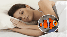 ¿Qué significa soñar con peces y pescados? Descubre su significado especial