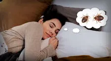 ¿Qué significa soñar con chinches? ¿Qué problemas te advierte?