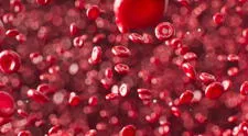 ¿Cómo saber mi tipo de sangre y qué significa cada grupo sanguíneo?