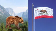 ¿Por qué hay un oso en la bandera de California? Descubre la historia tras sus símbolos cuando pertenecía a México y no a EEUU