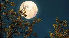 Luna llena de mayo 2025 en Venezuela: horario y cómo ver la luna de flores, según NASA