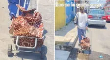 Adulta mayor sorprende al colocar a su nieta en carrito de mercado: “Abuelita que resuelve”