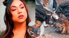 Dayanita filtra impactante imagen del altar que había armado con cráneo humano, muñeco de Chucky y otras 'ofrendas'